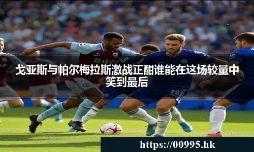 熊猫体育中国官网